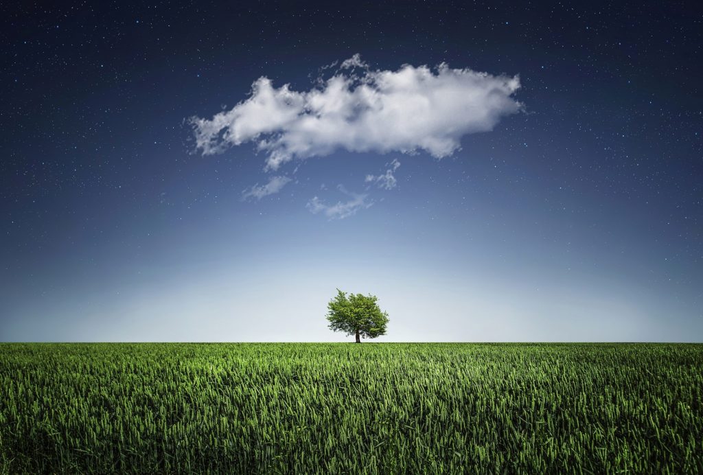 Single tree on the horizon, blue sky with single cloud