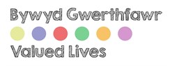Valued Lives logo