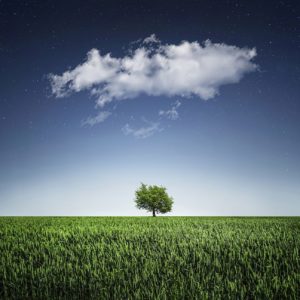 Single tree on the horizon, blue sky with single cloud