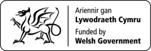 Welsh government logo